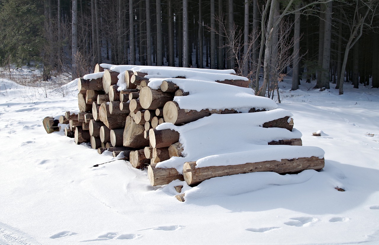 pile-of-wood-3267010_1280