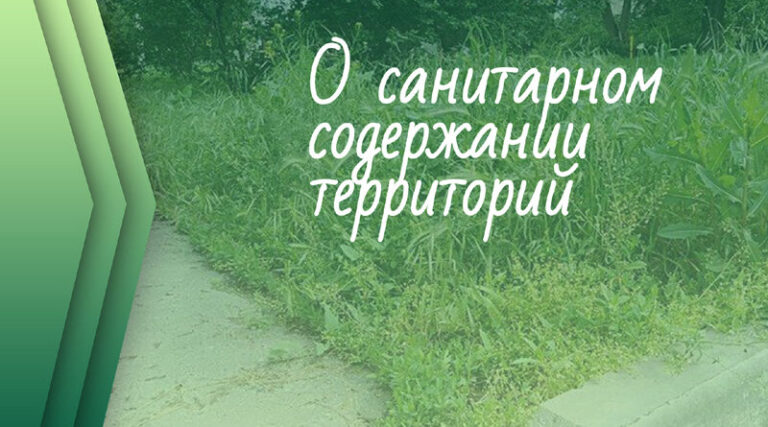 Санитарное содержание территории