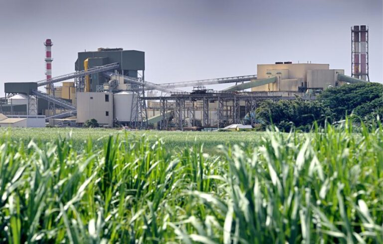 Результаты госсаннадзора