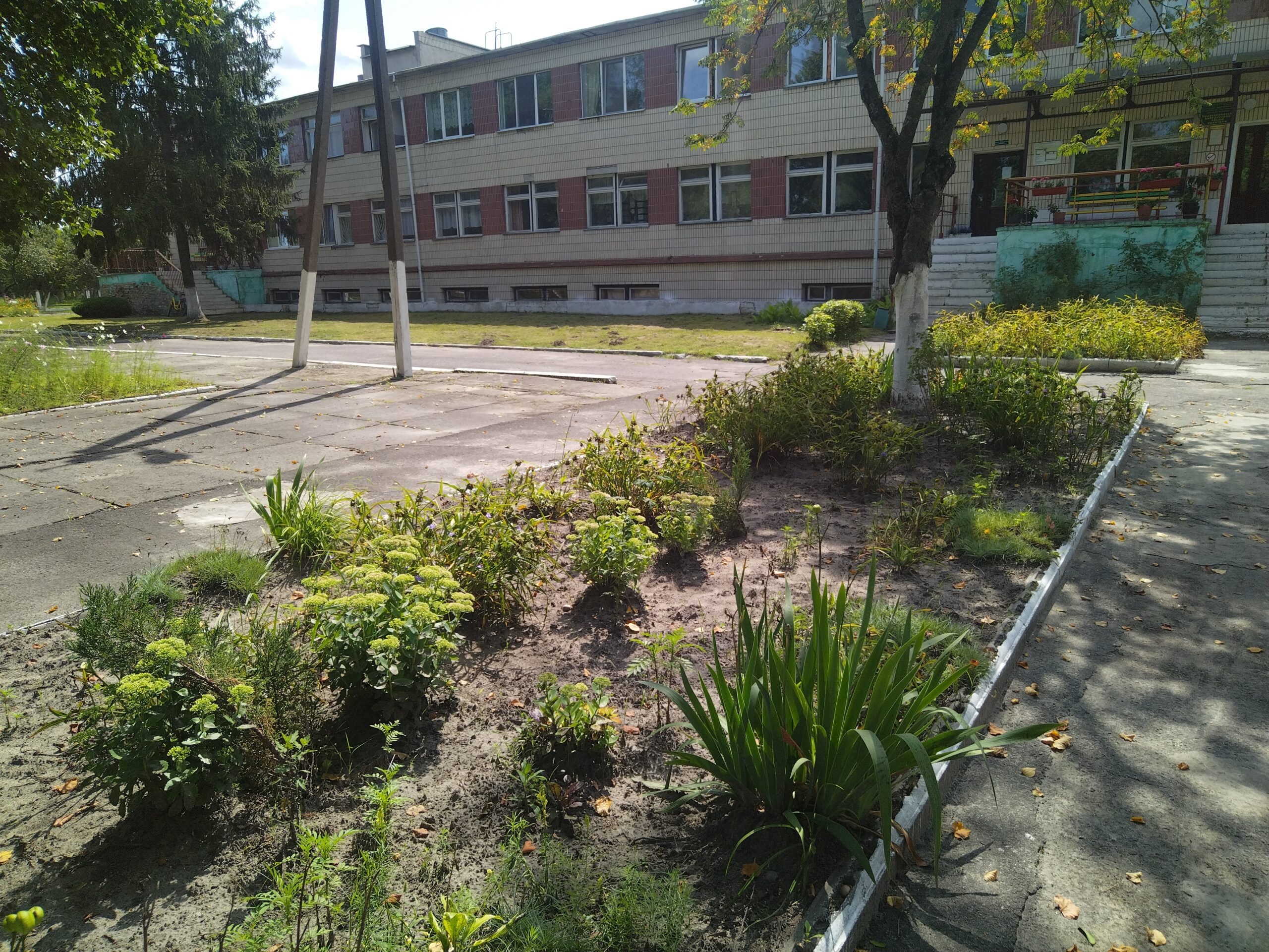 Результаты госсаннадзора