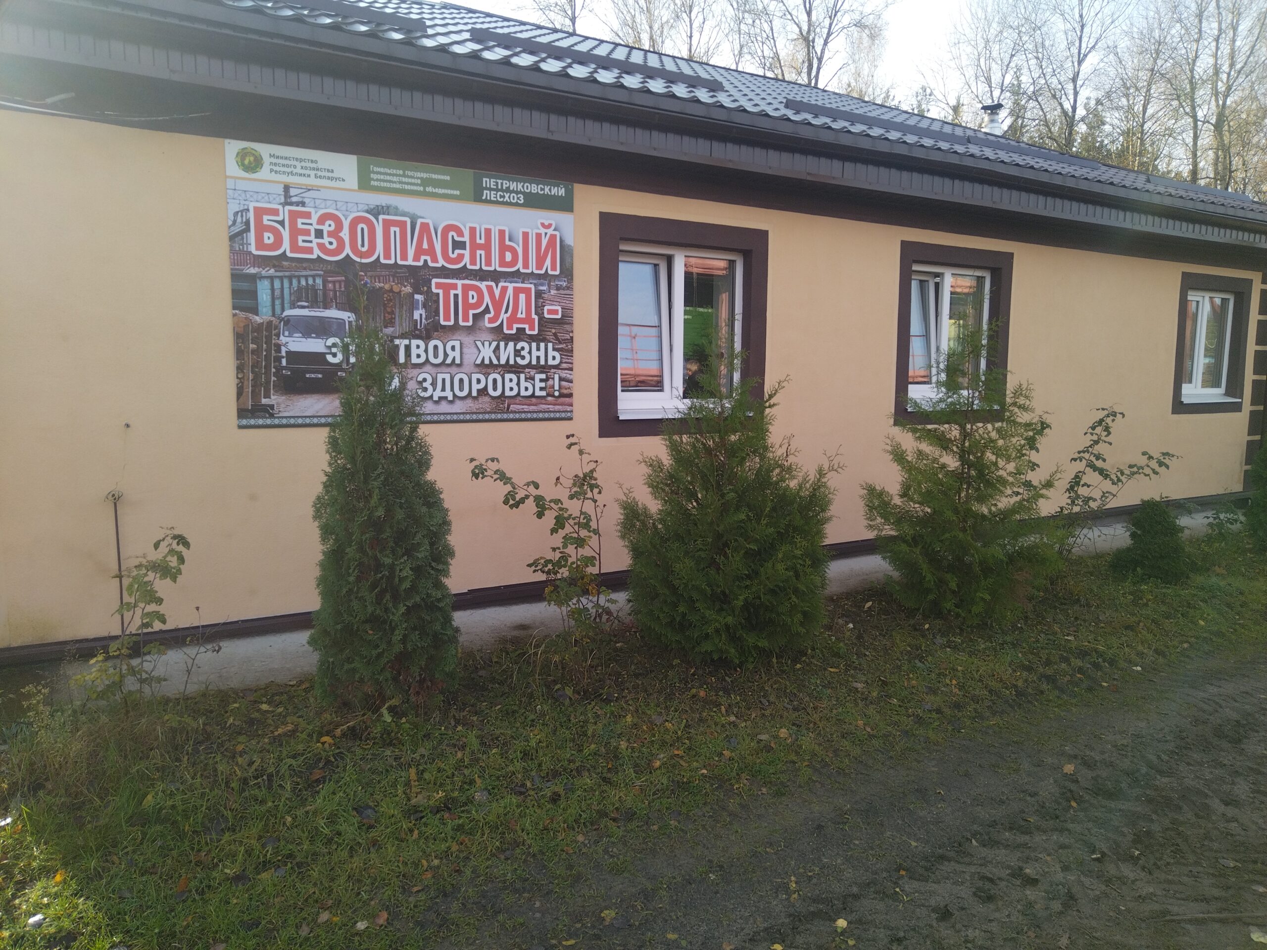 Результаты госсаннадзора