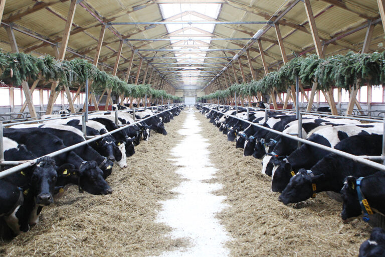 Результаты госсаннадзора