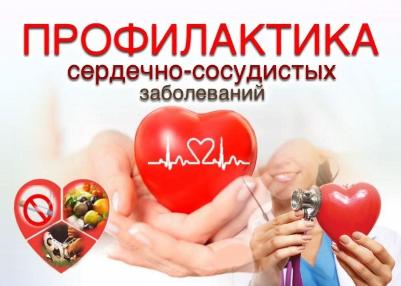 Сердце под защитой: привычки, которые продлевают жизнь