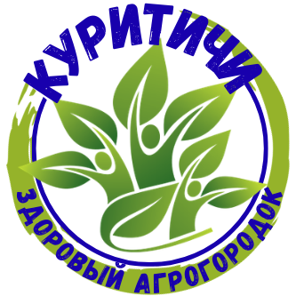 Куритичи — здоровый агрогородок